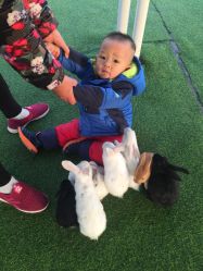 -萌宠亲子动物乐园(槐房万达店)