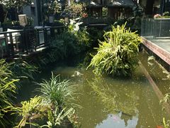 -大妙火锅·非物质文化遗产(东湖公园店)