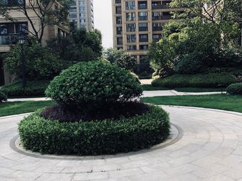 美伦·美郡1条评价|人均 -小区|桐庐县其他中通家园我要评价|人均