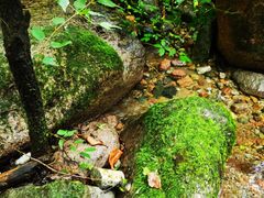 -玉渡山自然风景区