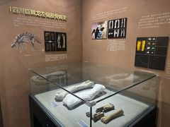 -自贡恐龙博物馆