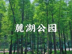 -广州雕塑公园