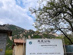 -闻道食府烙饼卷带鱼(原车耳营店原大觉寺店)