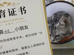 -瑞鹏宠物医院·爱宠堂(环西分院)