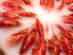 -福满堂·小龙虾·醉鸡煲