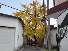 -雨花胜境