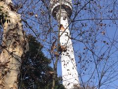 -龟山风景区-龟山电视塔