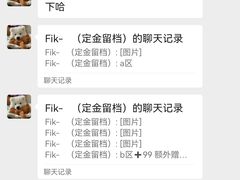 -猫遇摄影工作室