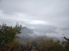 -大岭沟猕猴桃谷风景区