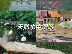 -广州动物园