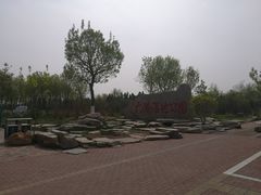 -大港湿地公园