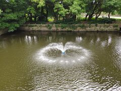 -普陀山风景名胜区-法雨禅寺