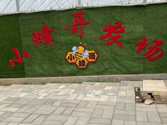 -庞各庄翠芳园西瓜蔬菜基地采摘园