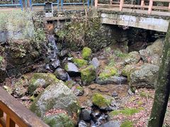 -藏龙百瀑风景区