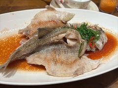 清蒸鲈鱼-大鸽饭(岗顶店)