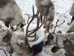 -北极村旅游风景区