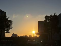 -华侨公园