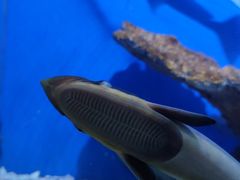 -海合安青岛极地海洋公园