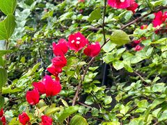 -伴山茶苑·围炉煮茶