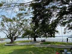 -大湾区中央湿地公园
