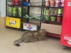 -天福棋牌(田林店)