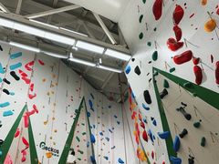 -绿壁虎攀岩基地(Tcar店)