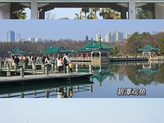 -东湖听涛景区