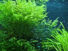 -上海海洋水族馆