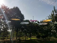 -西安汉城湖景区