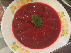 特仑苏鸭血-朱光玉火锅馆(龙阳广场店)