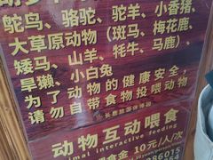 -长鹿旅游休博园