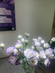 -MIDA蜜哒•科技逆龄美肤连锁