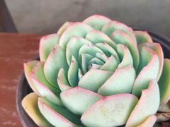 -大理老字号·舟渔的鱼野生菌海景餐厅(双廊店)