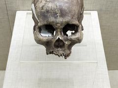 -呼伦贝尔民族博物馆