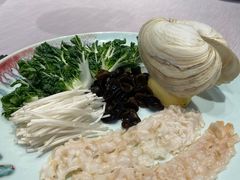 -子福慧(虹桥店)