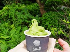 -雪绿茶博物馆