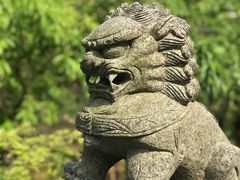 -南汇桃花村