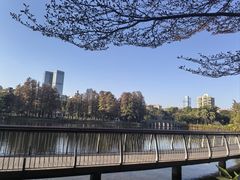-四海公园(南山区)