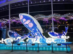 -海合安成都极地海洋公园