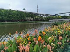 -九星虹桥商务中心