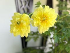 -苏州上方山国家森林公园