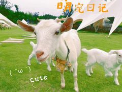 -天目湖涵田度假村