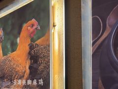 -云海肴·汽锅鸡·云南菜(天津国金汇店)