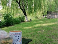 -九里河湿地公园