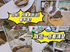 -瑞派动物医院·猫专科·至诚(江南中分院)