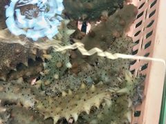 -青石桥市场北1-27号
