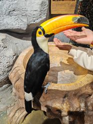 -Zoolung Zoolung动物主题公园(海信广场店)