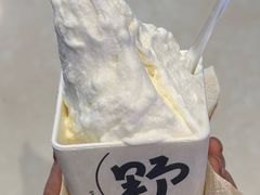 -野人先生现做冰淇淋(北京环宇荟店)