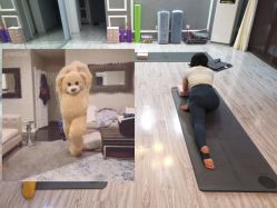 -后素孕产瑜伽·运动康复中心