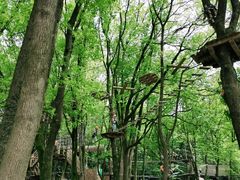 -WeLope紫金山探险公园
